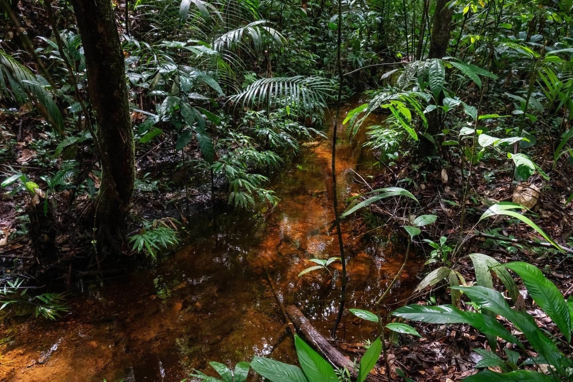 'Getting a handle' on a potent climate threat